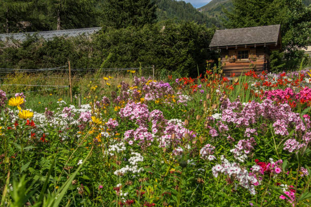 istock landscape france 1174432405