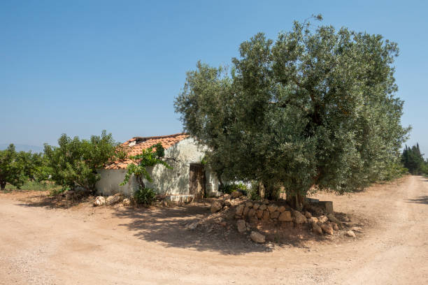 The august road as it passes through the senia, Spain