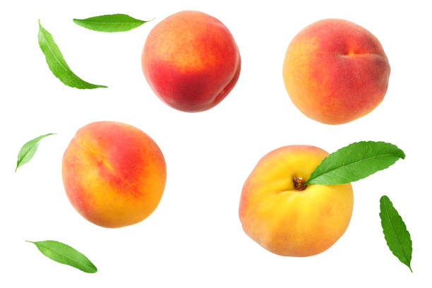 istock peach fruit with green leaves isolated on white background. top view 1174433430