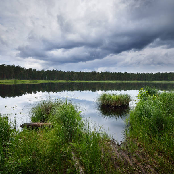 Lake landscape with beautiful reflection of a sky