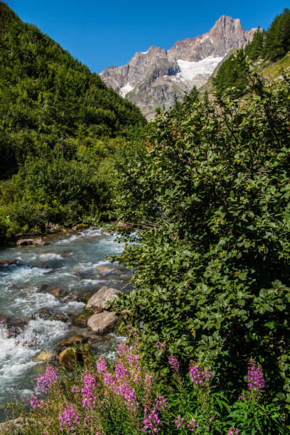 istock landascape of italy 1174434064