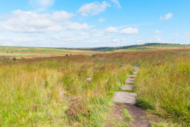 istock Stepping stones across the Derbyshire landscape 1174434671