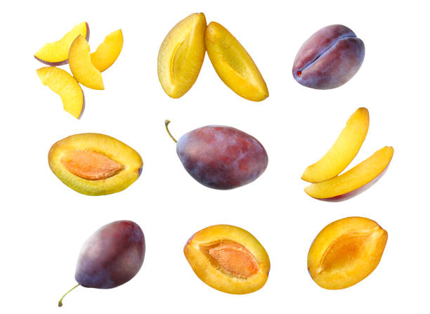 istock fresh plum fruit with cut plum slices isolated on white background. top view 1174435240