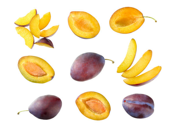 istock fresh plum fruit with cut plum slices isolated on white background. top view 1174435310