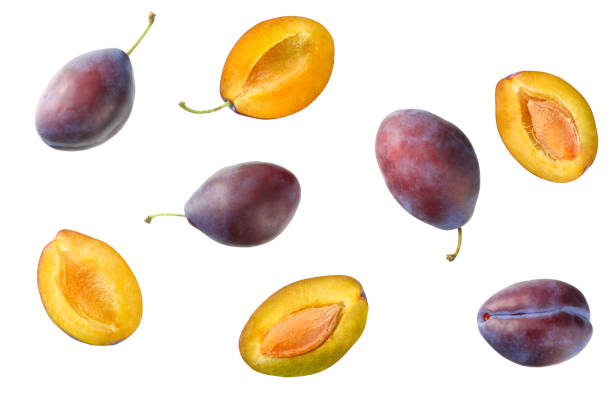 istock fresh plum fruit with cut plum slices isolated on white background. top view 1174435317