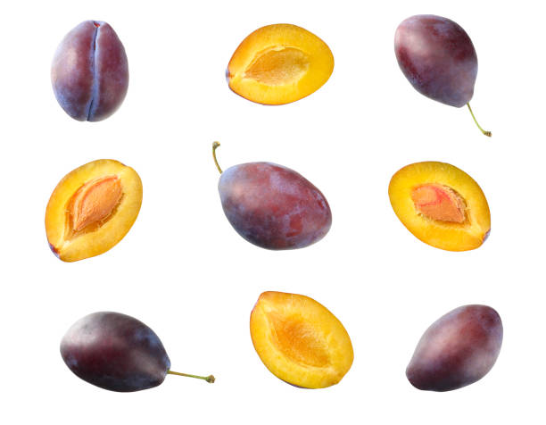 istock fresh plum fruit with cut plum slices isolated on white background. top view 1174435329