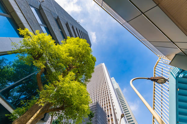 istock Blue sky and Shinjuku buildings 1174435442