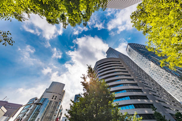 istock Blue sky and Shinjuku buildings 1174435463