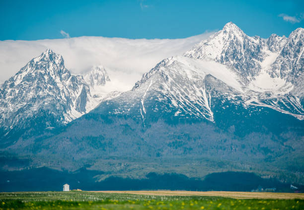 istock Colorful morning view in spring season with snow on peaks. 1174436678