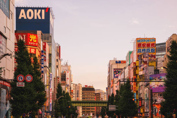istock Akihabara street in Tokyo (Japan) 1174437287
