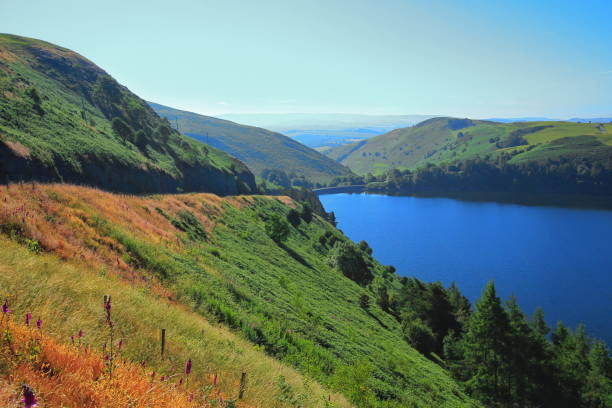 istock Llyn Clywedog dam lake in Wales 1174438094