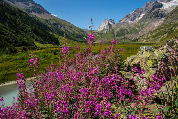 istock landscape of italy 1174438290