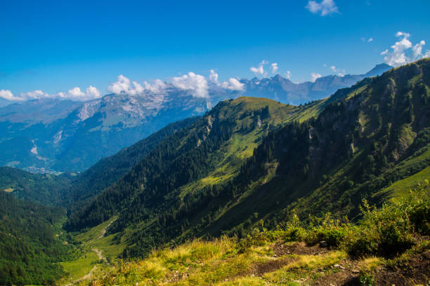 istock landscape of swiss 1174438897