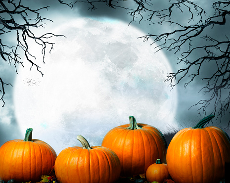 A group of pumpkins in front of a large full moon that rises in the background framed by the bare branches of a tree.