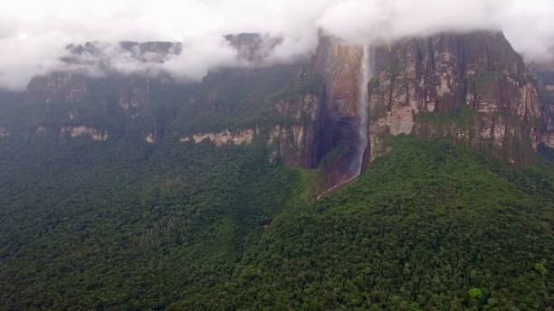 istock Angel falls, Canaima National Park, Venezuela 1174442116