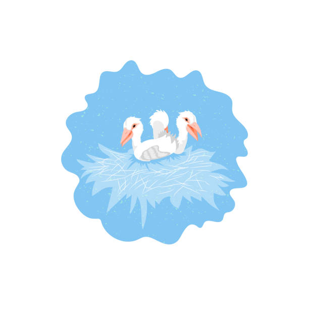 istock Template card with bird chicks in the nest of oriental storks. Cute characters for a different design. 1174442835