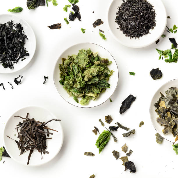 istock Various dry seaweed, sea vegetables, overhead square shot on a white background 1174443234