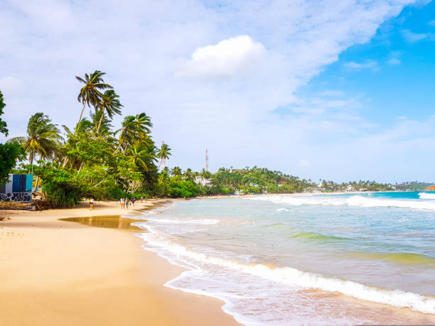istock Mirissa beach in southern Sri Lanka 1174443590