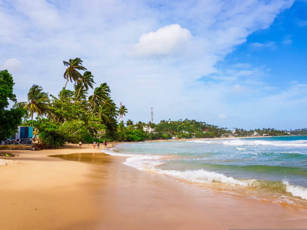 istock Mirissa beach in southern Sri Lanka 1174443605