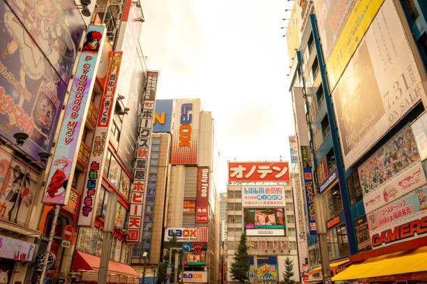 istock Akihabara street in Tokyo (Japan) 1174444838