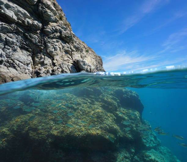 istock Rocky coast over and under water Mediterranean sea 1174445721