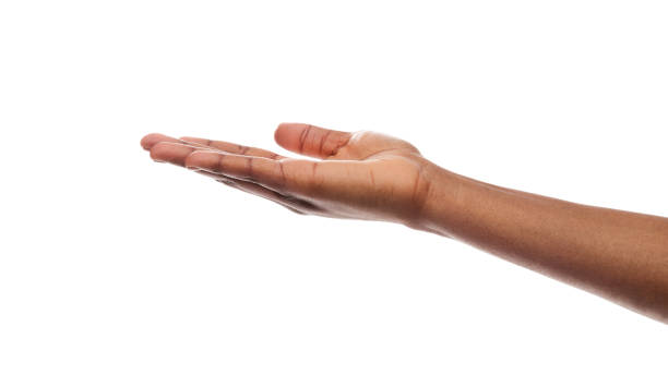 istock Outstretched female hand, empty palm over white background 1174447758