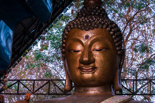 estilo de la cara de la imagen del buda de oro, la luz y la sombra de la cara dorada del buda - hilight fotografías e imágenes de stock