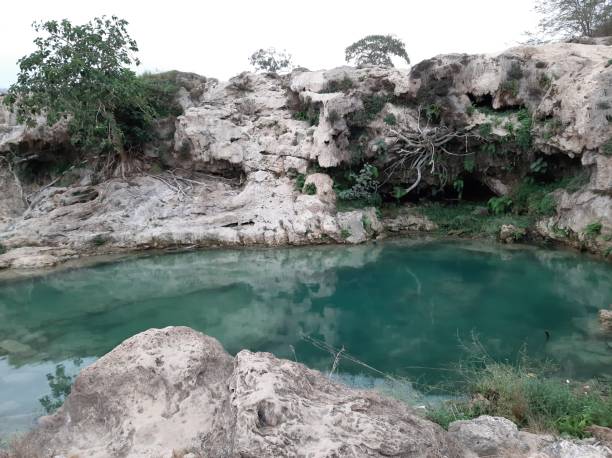 istock Beautiful river pond in Salalah Oman 1174451516
