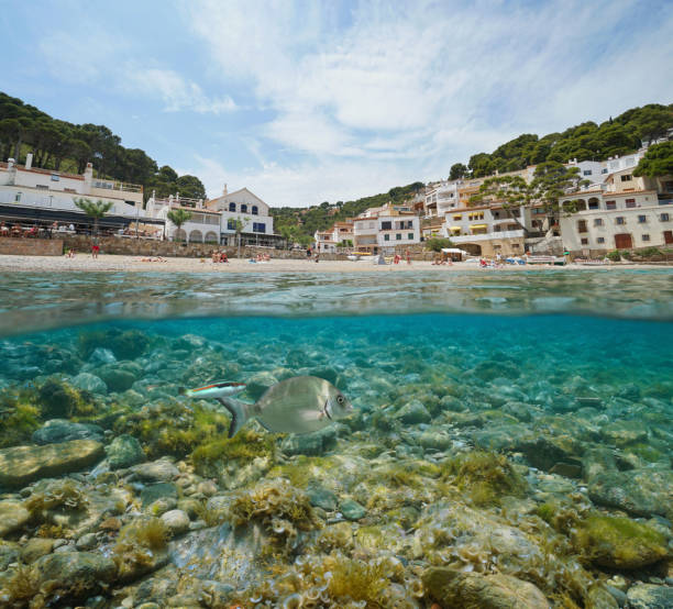 istock Spain beach shore Mediterranean village with fish 1174454546