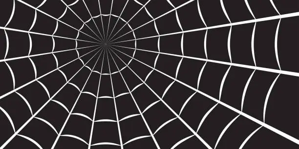 Vector illustration of Spider web or cobweb. Halloween net background. Vector illustration.