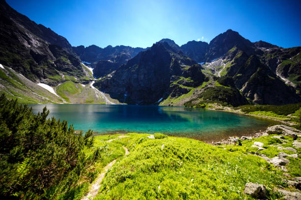 istock 
