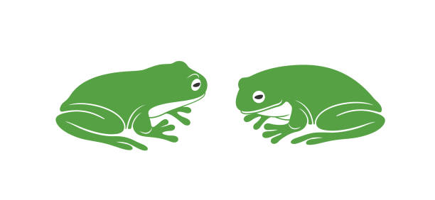 Green frog logo. Abstract frog on white background EPS 10. Vector illustration red amphibian frog animals in the wild stock illustrations