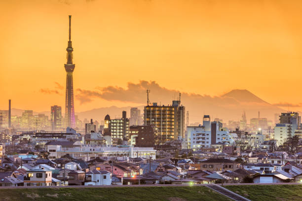 istock Tokyo, Japan Cityscape 1174456813