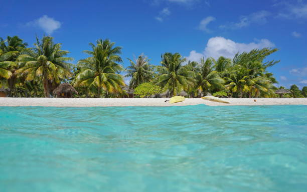 istock Tropical sea shore kayak on beach French Polynesia 1174463911
