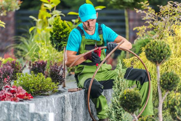 istock Men Building Garden Irrigation 1174464018