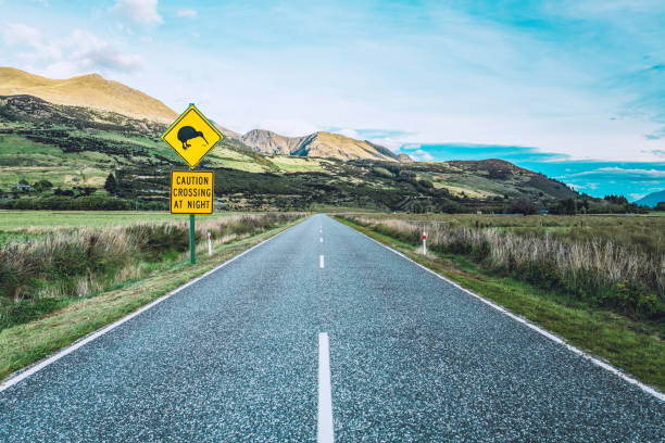 ニュージーランドの道路上のキウイ鳥の警告標識 - wadi warning ストックフォトと画像