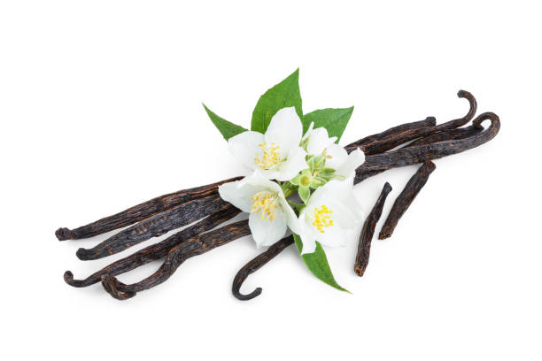 istock Vanilla sticks with flower and leaf isolated on white background 1174465919