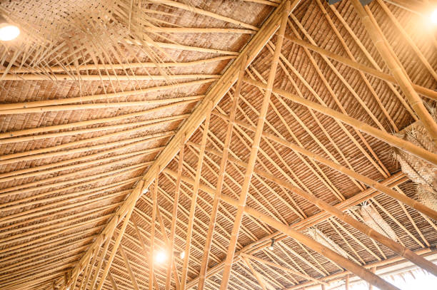 istock texture background of bamboo roof 1174466300