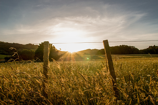 landscape of sunset in front of field with pasture fence