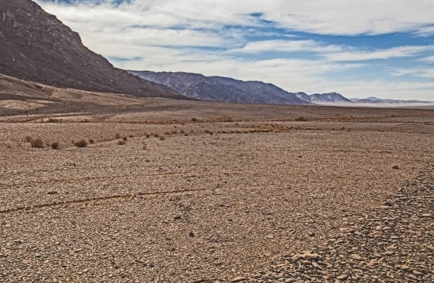 istock Namibian desert landscape 3 1174467724
