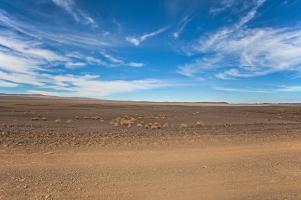 istock Namibian desert landscape 1 1174467807