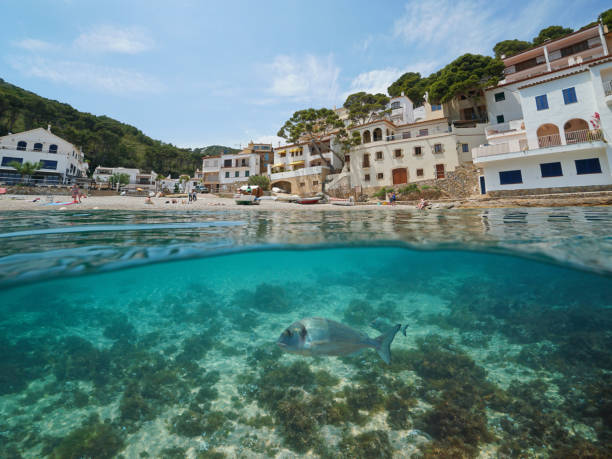 istock Spain Mediterranean village and fish underwater 1174467877