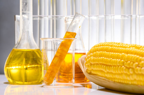 biofuel from corn, oil and biofuel solution. - propylene imagens e fotografias de stock