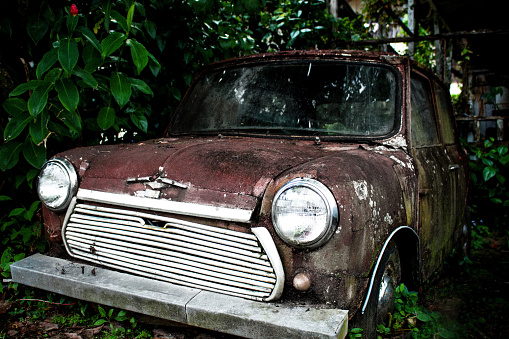 old rusty car covered in bush in bocas del toro, panama