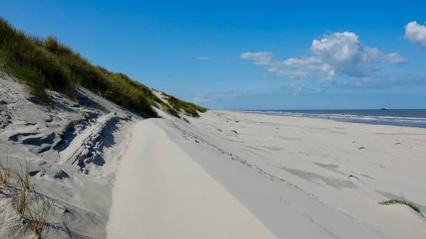 istock Dune and beach landscape at the North Sea 1174470210