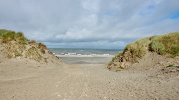 istock Dune and beach landscape at the North Sea 1174470355