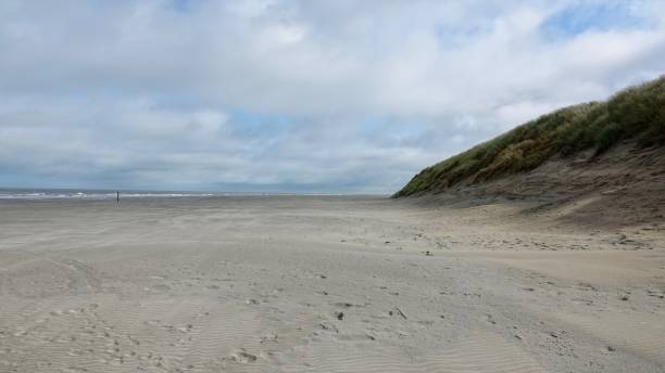 istock Dune and beach landscape at the North Sea 1174470494