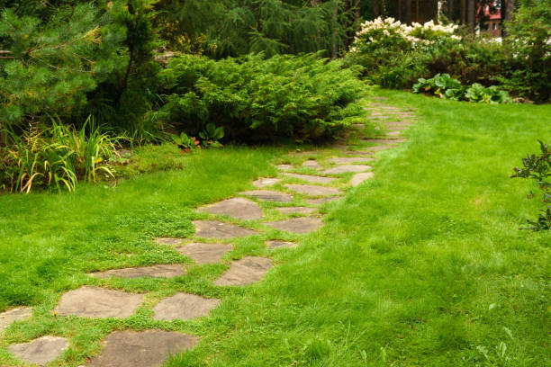 istock lawn among decorative bushes with a path made of stone slabs 1174471363