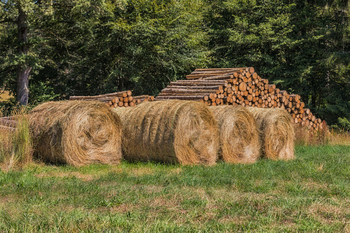 Beaten wood and hay bales
