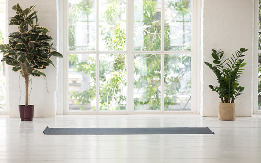 Habitación contemporánea con esterilla de yoga plantas en maceta sin sol a través de la ventana photo